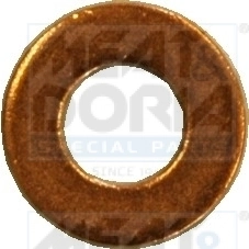 Seal Ring, nozzle holder
